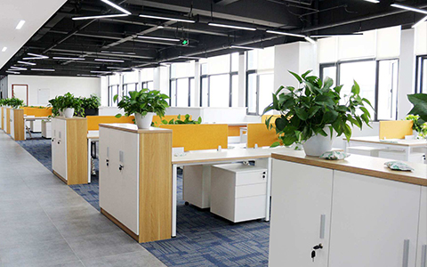 綠色環保辦公空間